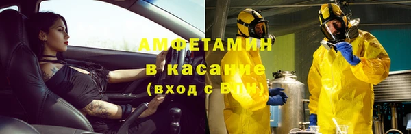 эйфоретик Аркадак