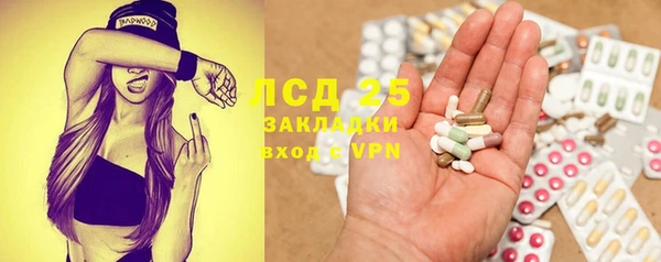 эйфоретик Аркадак