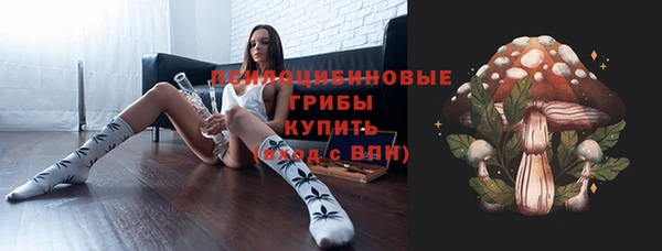 эйфоретик Аркадак
