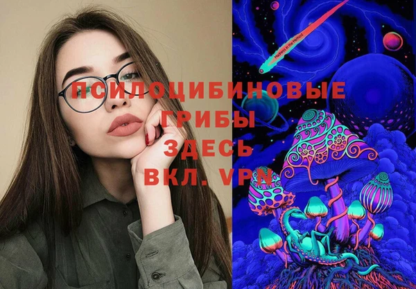 индика Армянск