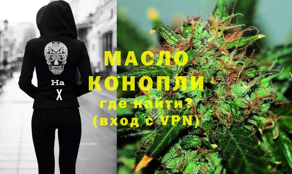 индика Армянск